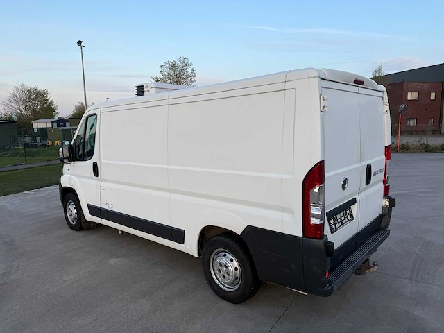 Fiat ducato - 2007 - koelwagen - frigo - personenauto - afbeelding 8 van  37