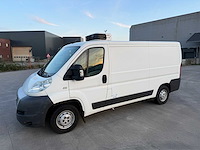 Fiat ducato - 2007 - koelwagen - frigo - personenauto - afbeelding 10 van  37