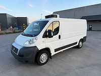 Fiat ducato - 2007 - koelwagen - frigo - personenauto - afbeelding 1 van  37