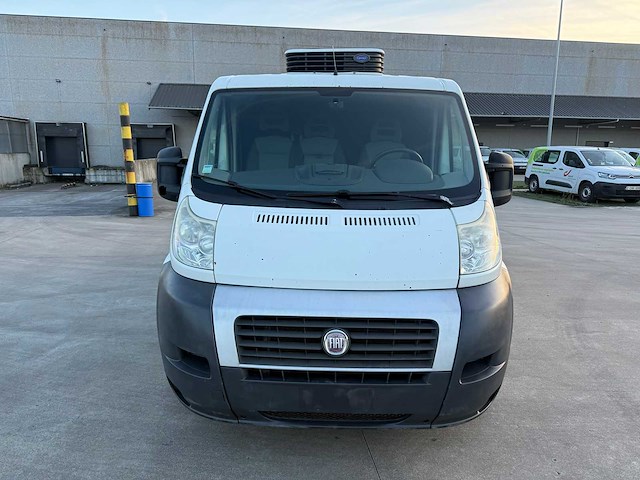 Fiat ducato - 2007 - koelwagen - frigo - personenauto - afbeelding 35 van  37