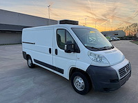 Fiat ducato - 2007 - koelwagen - frigo - personenauto - afbeelding 37 van  37