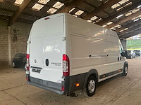 Fiat ducato koelwagen maxi bedrijfswagen - afbeelding 15 van  17