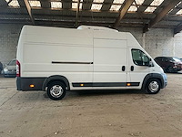 Fiat ducato koelwagen maxi bedrijfswagen - afbeelding 21 van  24