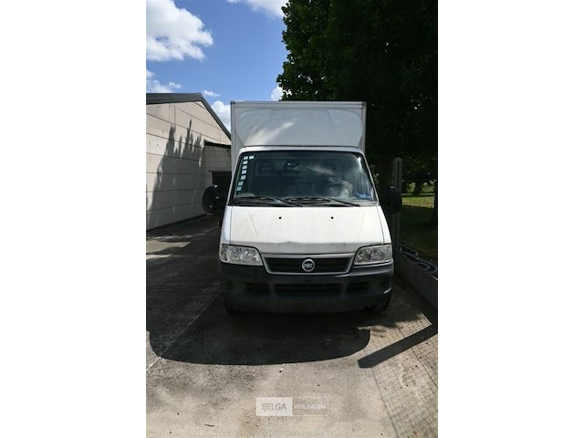 Fiat ducato lichte vrachtwagen met dhollandia laadklep - afbeelding 12 van  14