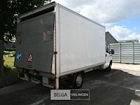 Fiat ducato lichte vrachtwagen met dhollandia laadklep - afbeelding 13 van  14