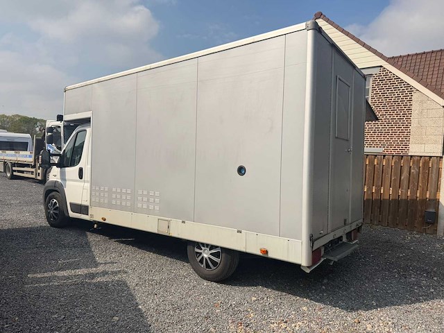 Fiat marktwagen ducato bedrijfswagen - afbeelding 10 van  15