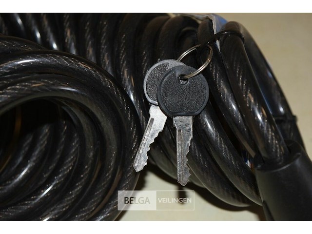 Fiestslot met sleutel - afbeelding 3 van  3