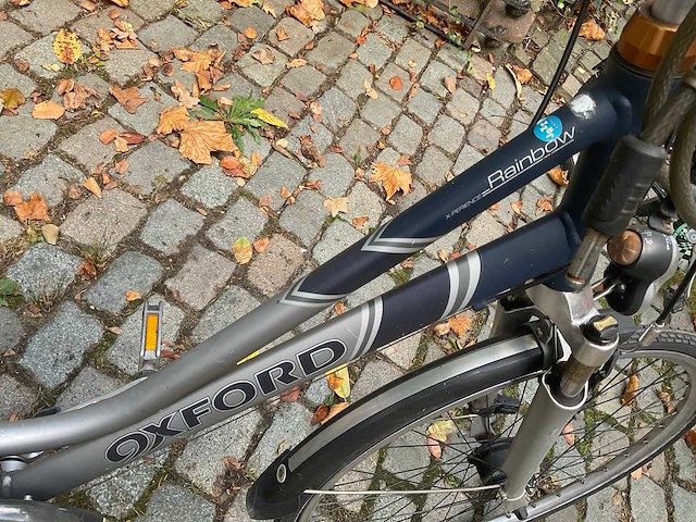 Fiets (2x) - afbeelding 3 van  8