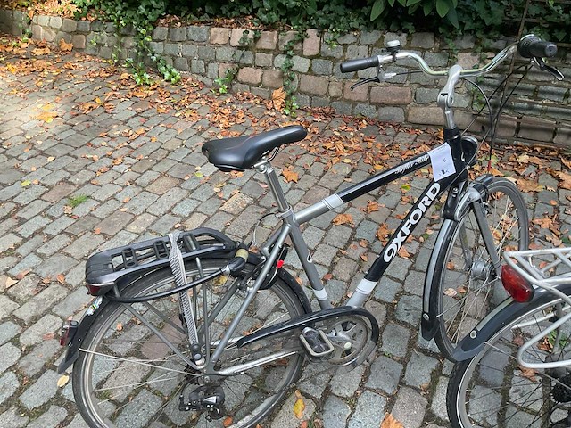 Fiets (2x) - afbeelding 5 van  8