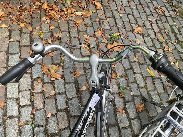 Fiets (2x) - afbeelding 6 van  8