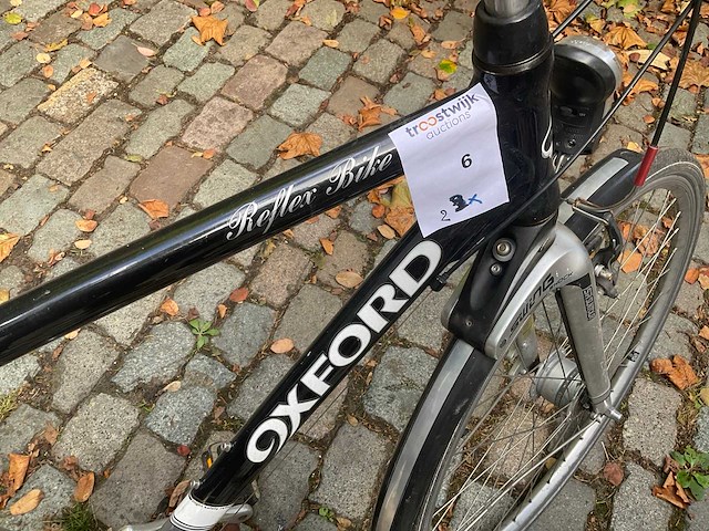 Fiets (2x) - afbeelding 7 van  8