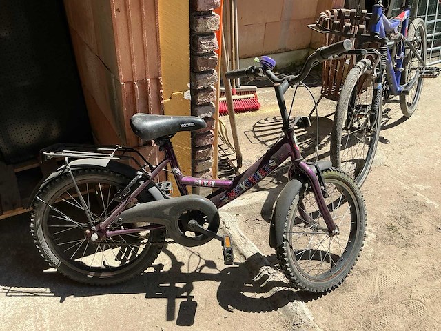 Fiets (3x) - afbeelding 3 van  7
