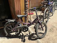 Fiets (3x) - afbeelding 3 van  7