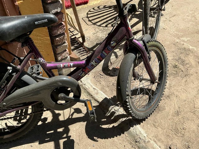 Fiets (3x) - afbeelding 4 van  7