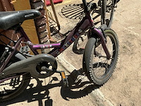 Fiets (3x) - afbeelding 4 van  7