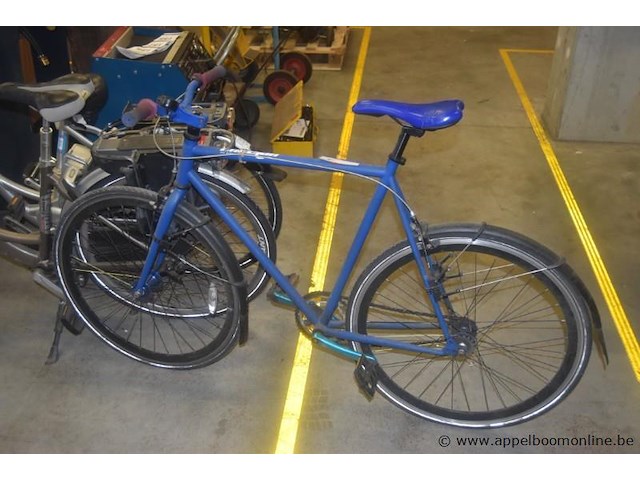 Fiets, cheetah - afbeelding 2 van  3