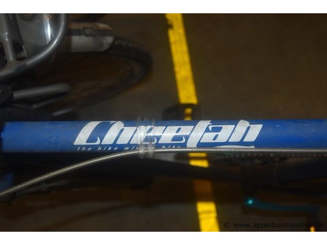Fiets, cheetah - afbeelding 3 van  3