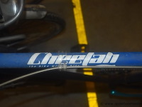 Fiets, cheetah - afbeelding 3 van  3