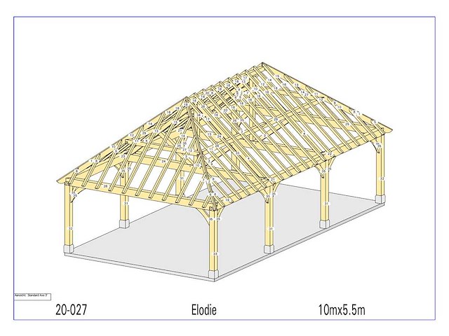 Fijnspar carport 5,50x10 - afbeelding 12 van  18