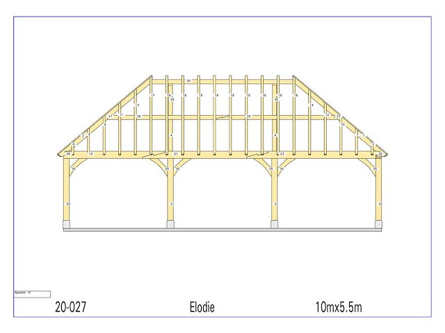 Fijnspar carport 5,50x10 - afbeelding 13 van  18