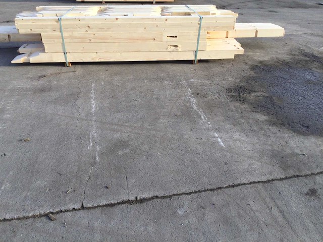 Fijnspar carport 5x9 - afbeelding 1 van  16