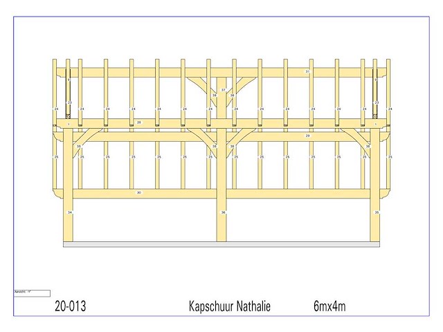 Fijnspar kapschuur/poolhouse met wand en dakbekleding - afbeelding 4 van  22