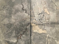 Fior di bosco - afbeelding 4 van  4