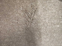 Fioranese manoir gris brion mat 60,4x60,4 cm tegel 12,4 m² - afbeelding 5 van  6
