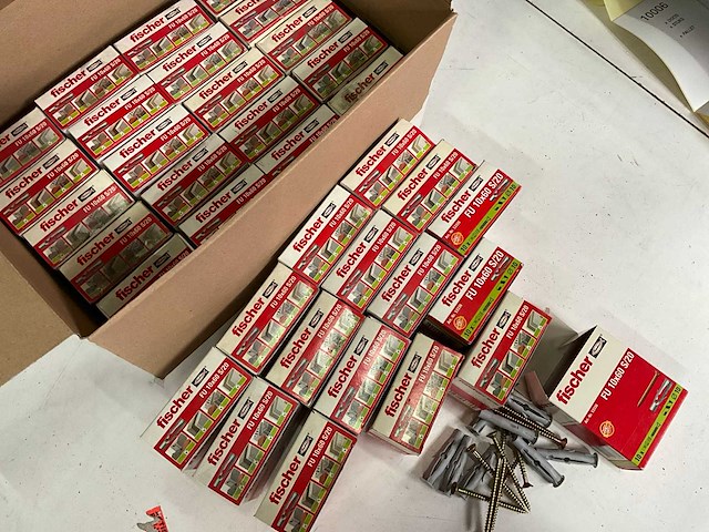 Fischer slagpluggen 10x60 (36x) - afbeelding 2 van  4