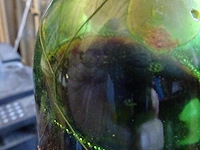 Fles in kist gran reserva age 1981 - afbeelding 3 van  4