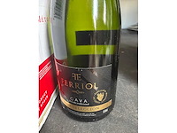Flessen cava divers (12x) - afbeelding 2 van  5