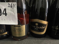 Flessen cava divers (26x) - afbeelding 3 van  4
