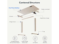 Flexispot bureau assis debout 120x60 cm - afbeelding 2 van  11