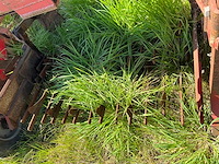 Fobro 2000 super hd schudlichter rooier boomkwekerij - afbeelding 5 van  7