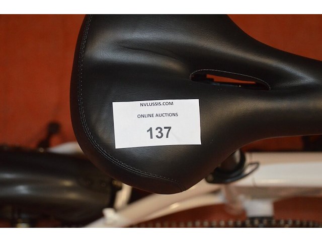 Folding e-bike xqisit x-160 zonder lader en zonder sleutel (b436) - afbeelding 12 van  14