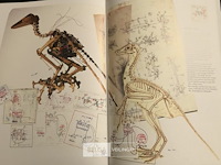 For clever scolars - afbeelding 4 van  5