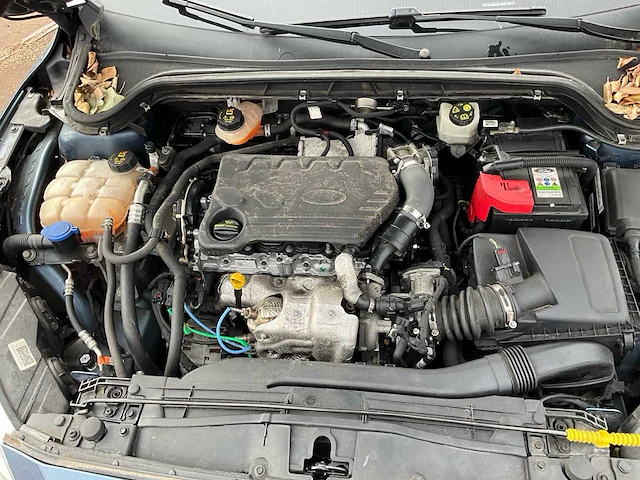 Ford - 2019 - focus - focus - personenauto - afbeelding 8 van  20