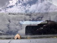 Ford focus, 2006 - afbeelding 10 van  29