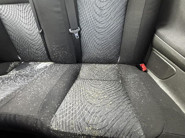 Ford focus, 2008 - afbeelding 11 van  37