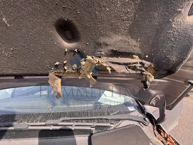 Ford focus sw 1.6 tdci econetic tech. trend, 2013 - afbeelding 25 van  35