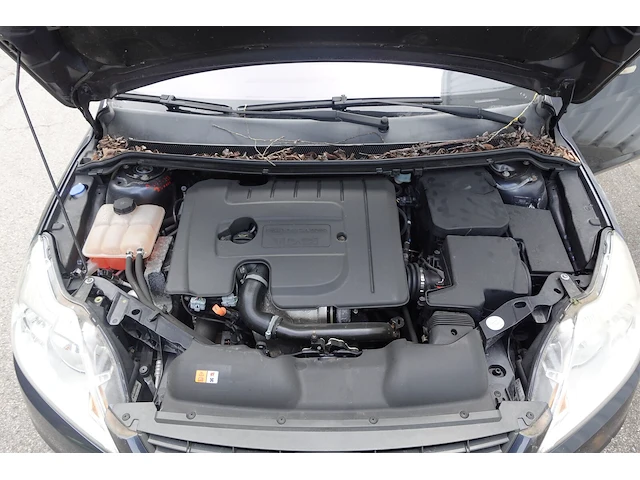 Ford focus - afbeelding 9 van  14