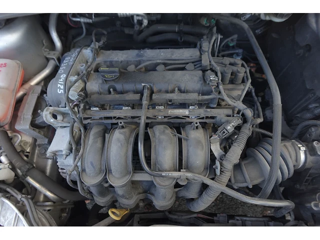 Ford focus - afbeelding 10 van  14