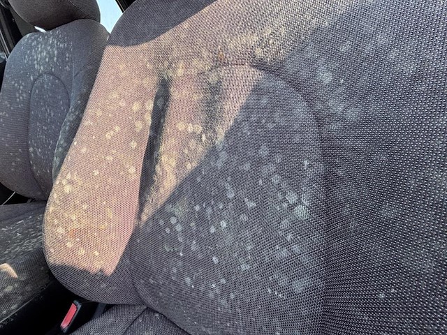 Ford ka, 2006 - afbeelding 14 van  19