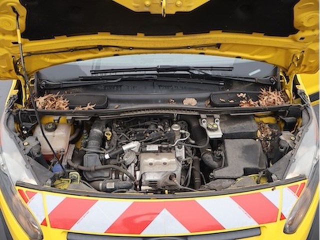 Ford tourneo - wf0txxwpgtgy76967 - 2016 - afbeelding 5 van  18