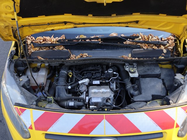Ford tourneo - wfotxxwpgtgy76962 - 2016 - afbeelding 6 van  21