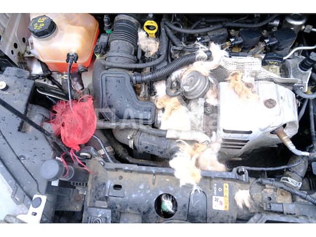 Ford tourneo koeriersauto - afbeelding 15 van  51