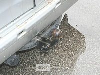 Ford transit connect lichte vrachtwagen - afbeelding 16 van  24