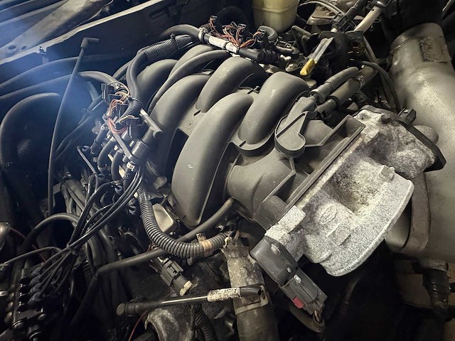 Ford usa - mustang - 4.6 v8 gt - car - 2005 - afbeelding 5 van  15