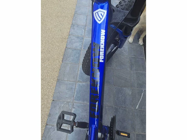 Foreknow adult mountain fat bike / mtb - fatbike / mountainbike - afbeelding 5 van  6