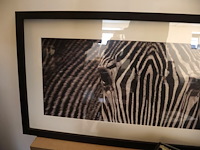 Foto in kader - afbeelding 2 van  4